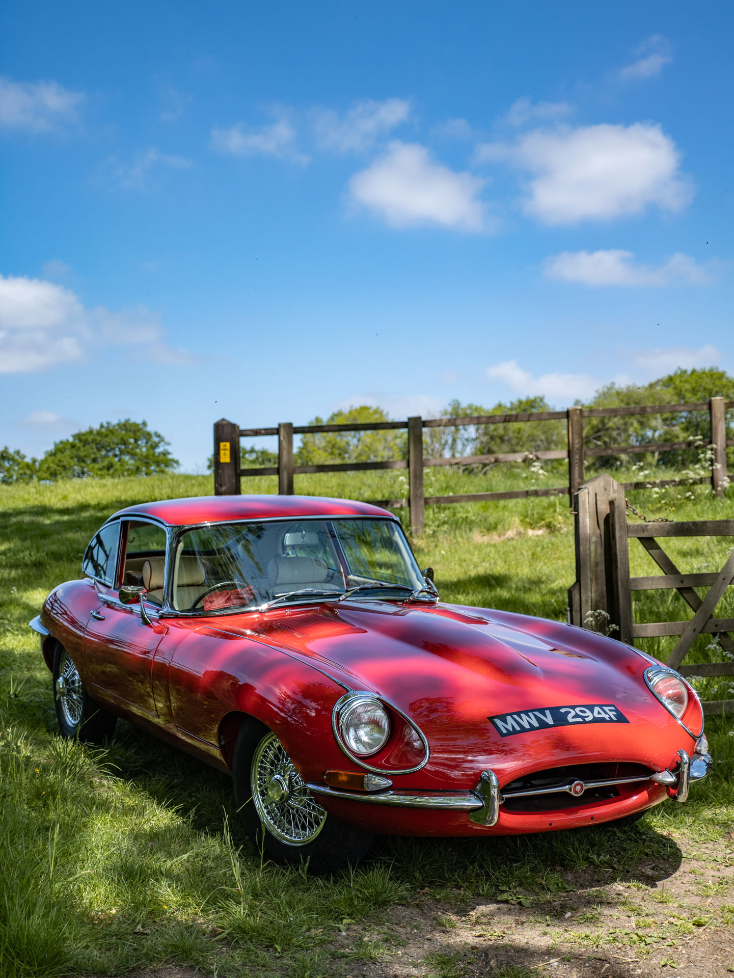 Jaguar Series 1.5 E Type for hire Picnic 21